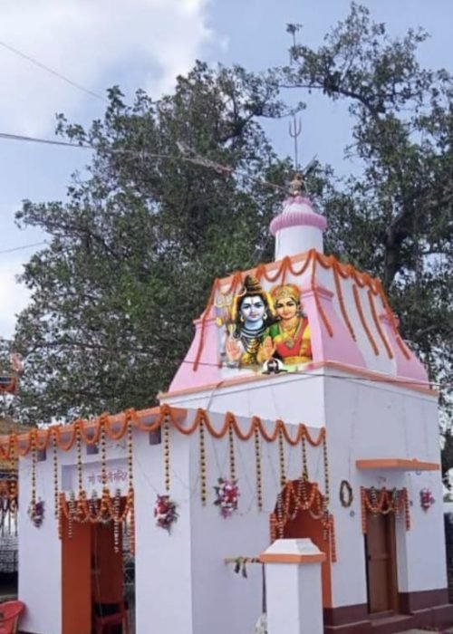 cc80afaa-0464-4c19-aa3f-a1bb1acab5d0