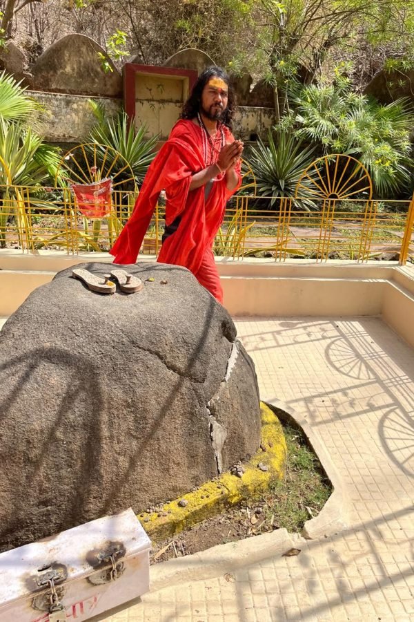 swami ji gaurvanand (19)